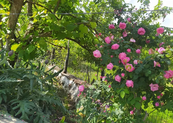 Spring Village Home