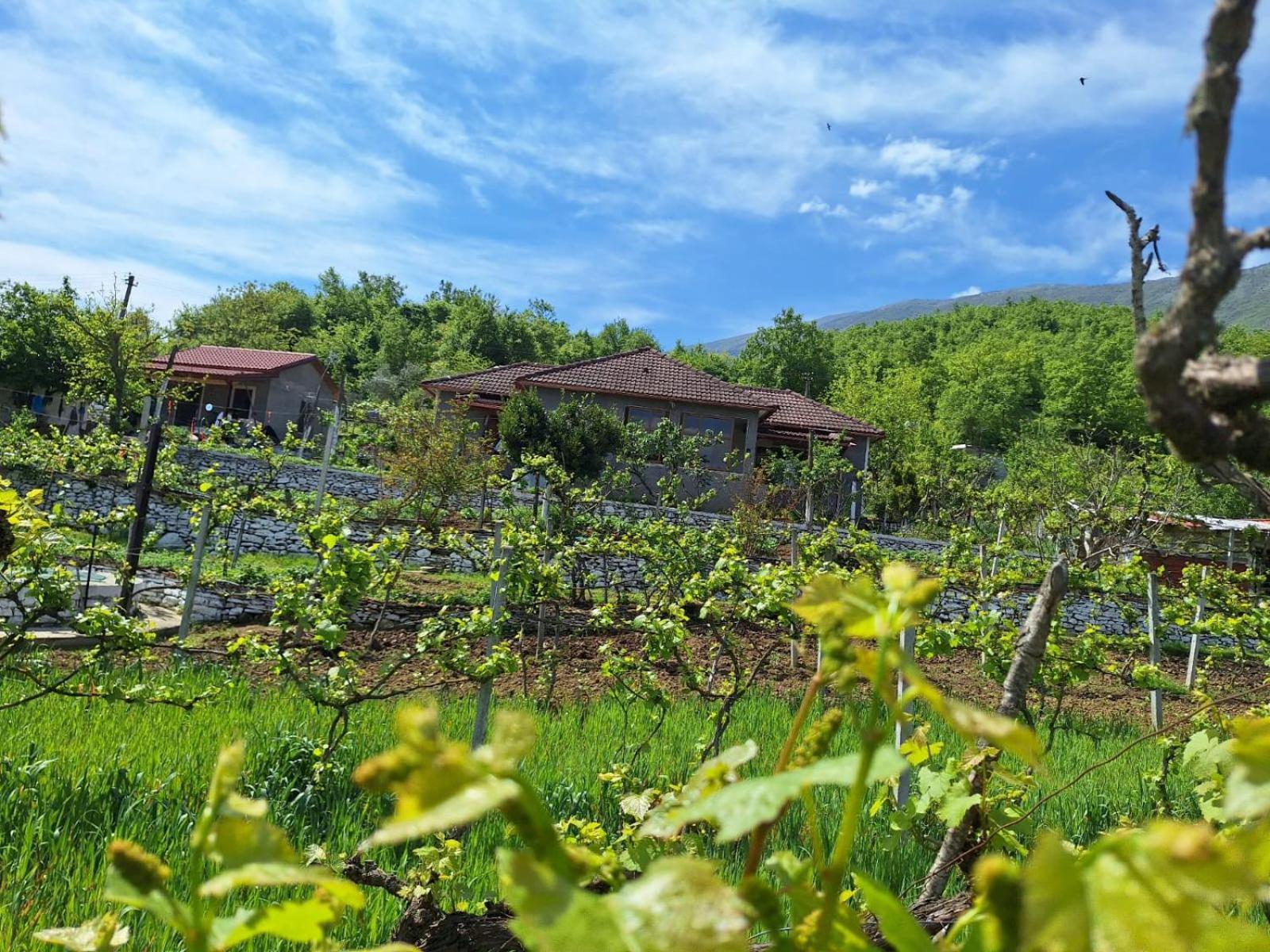Apartament Spring Village