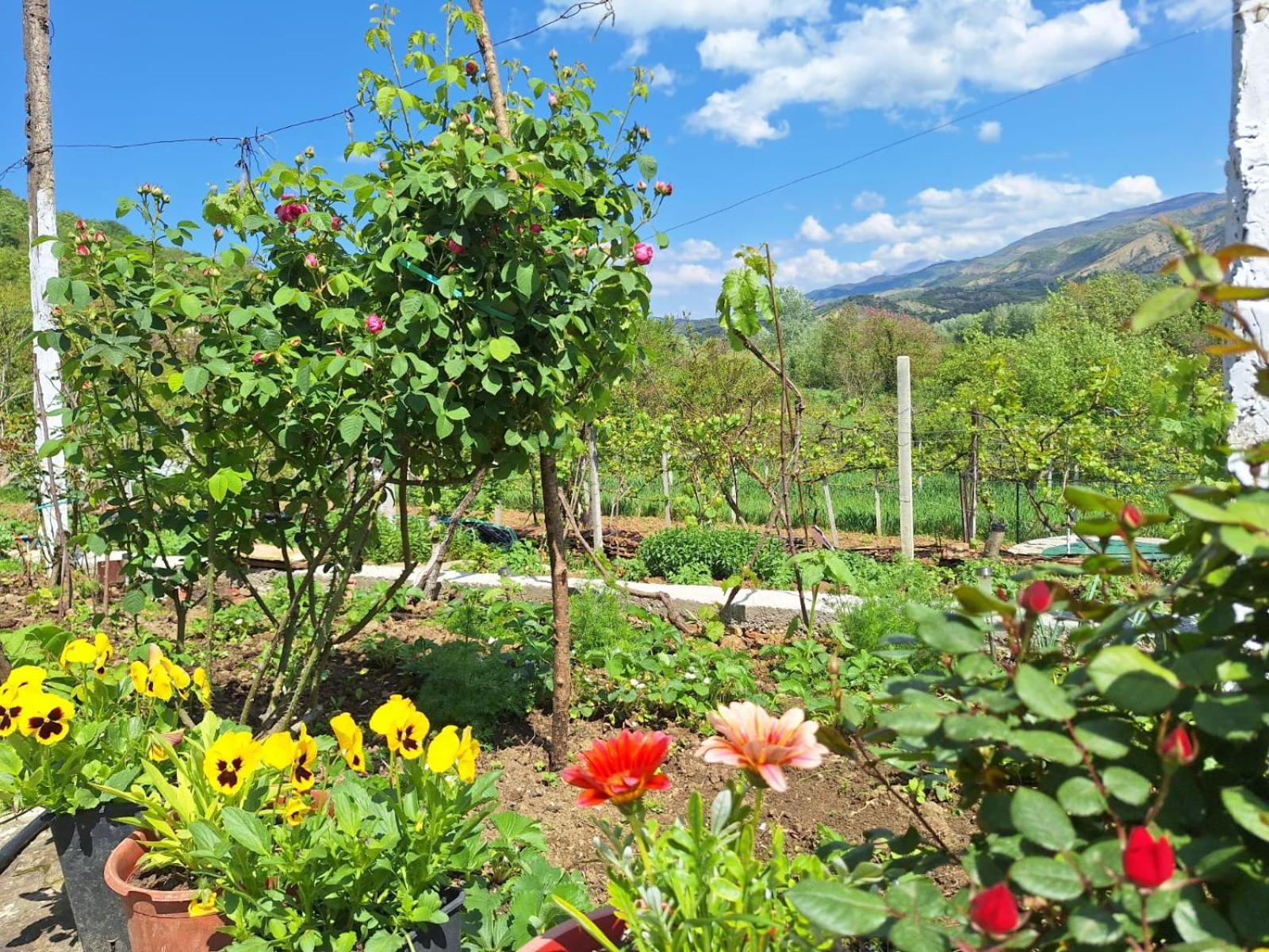 Spring Village Përmet