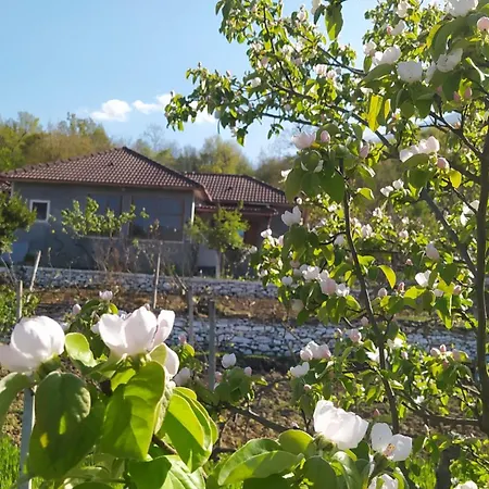 Spring Village Home Përmet Exterior foto