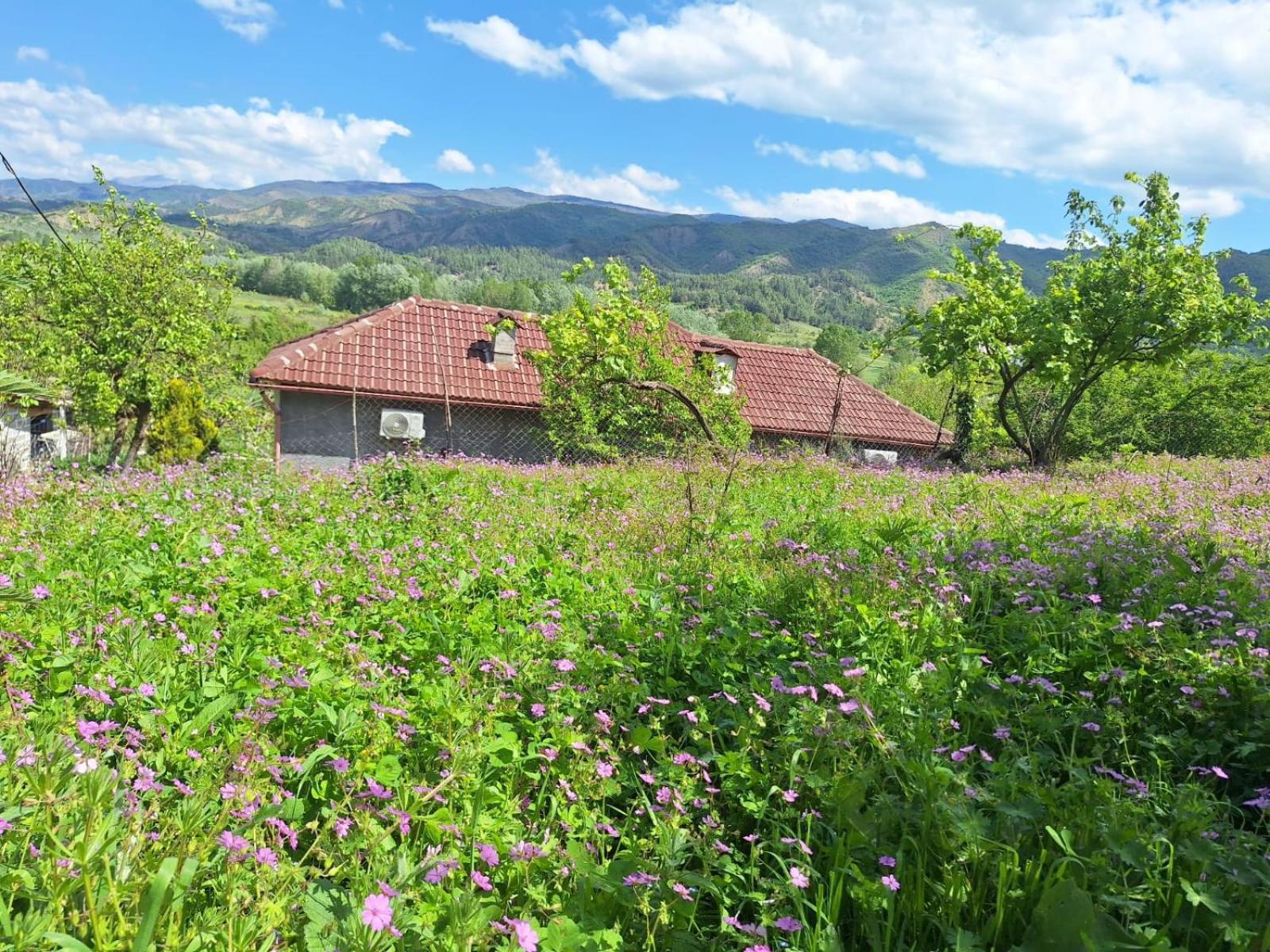 Spring Village Apartment Përmet